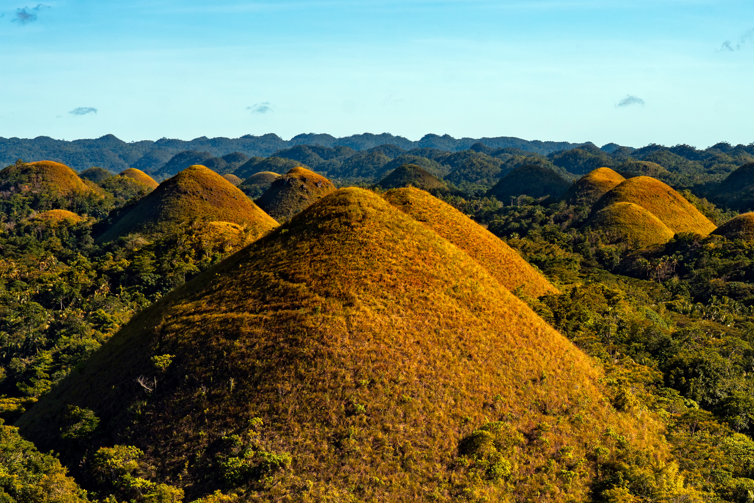 120 bohol.webp